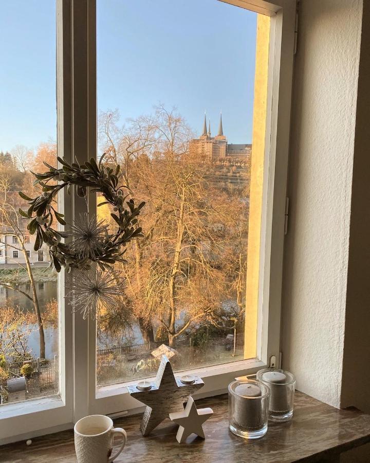 Ferienwohnung Dom- U. Regnitzblick バンベルク エクステリア 写真